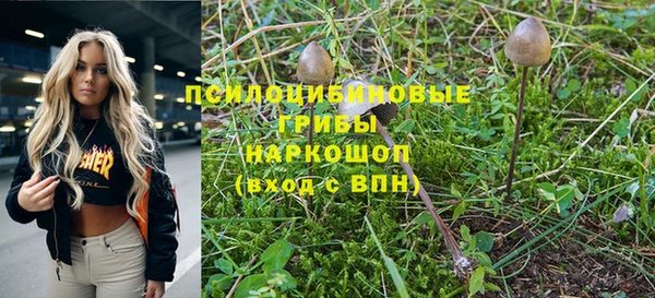 прущий лед Алексин