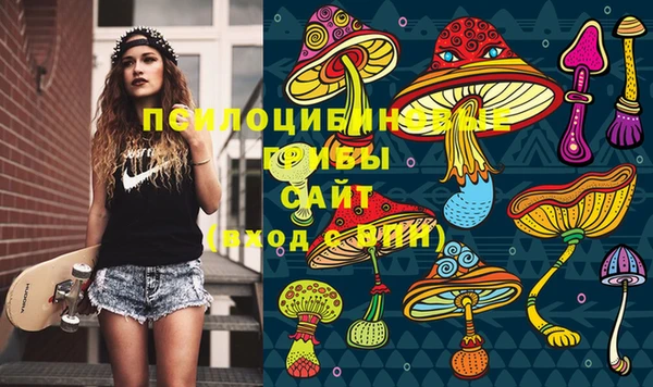 а пвп мука Саяногорск