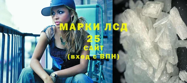 прущие грибы Алзамай