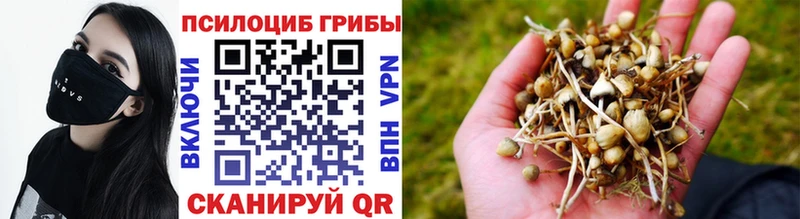 Псилоцибиновые грибы Magic Shrooms Снежинск